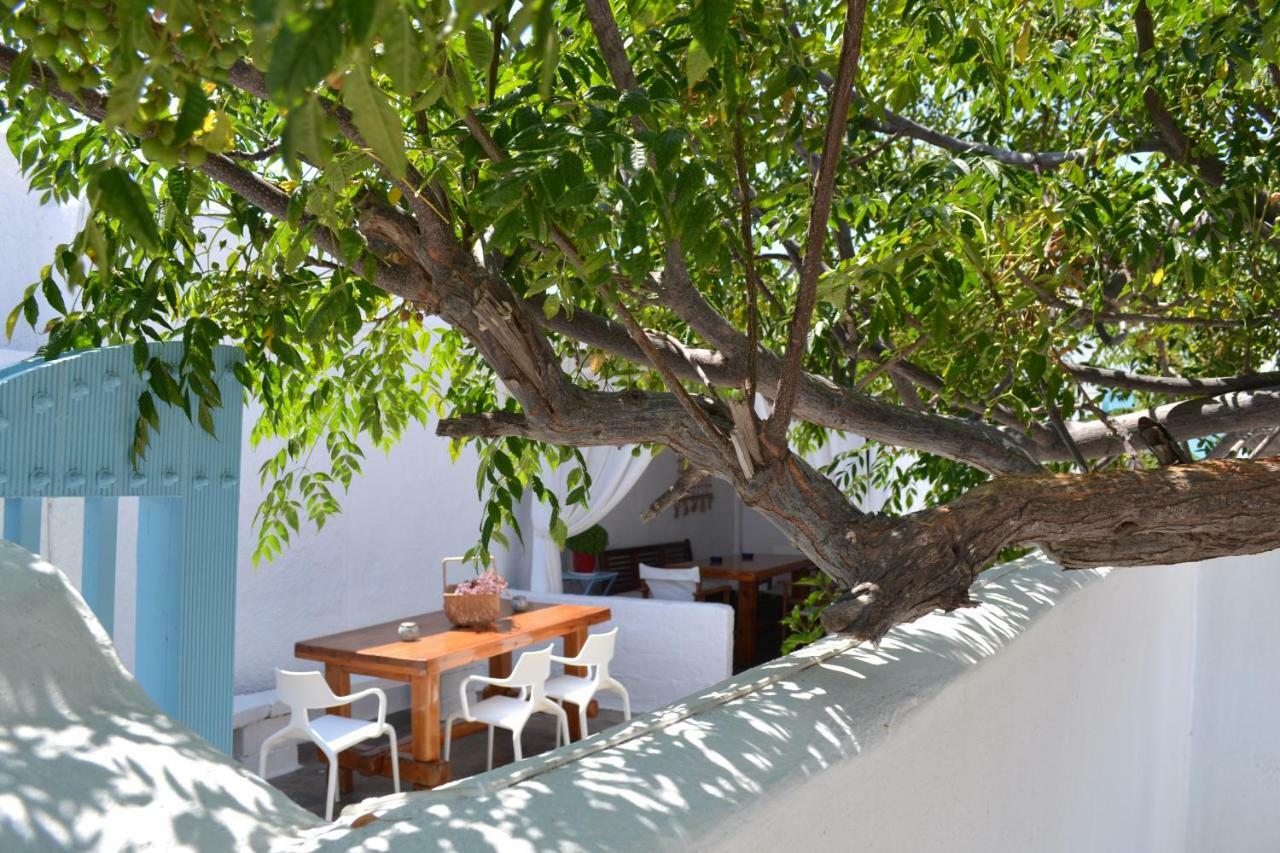 Stella'S Holiday Home Mykonos Town Εξωτερικό φωτογραφία